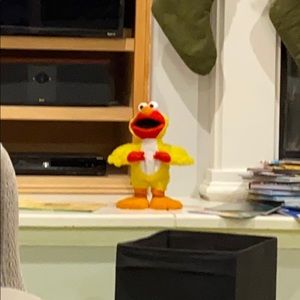 Meet your Posher, Brandi